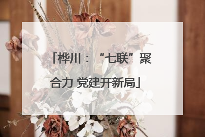 桦川：“七联”聚合力 党建开新局